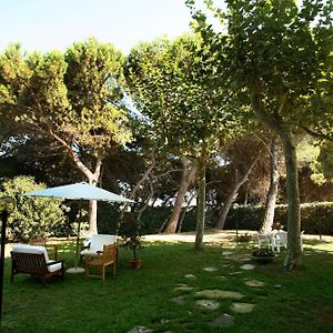 B&B Il Parco Dei Pini